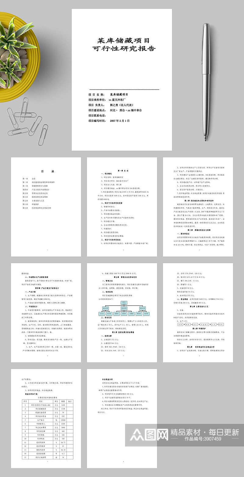 某库储藏项目可行性研究报告WORD素材