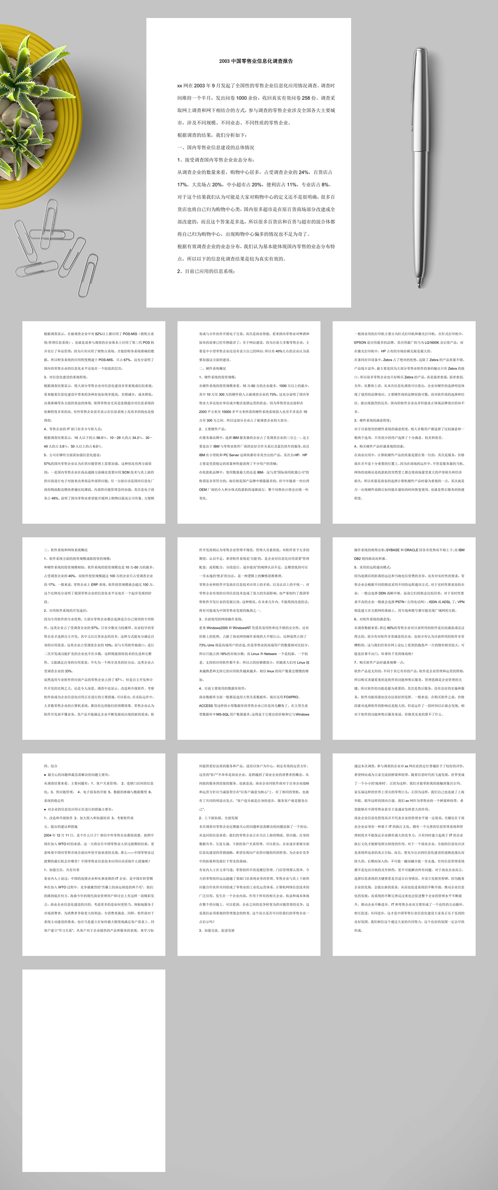 中国零售业信息化调查报告WORD素材