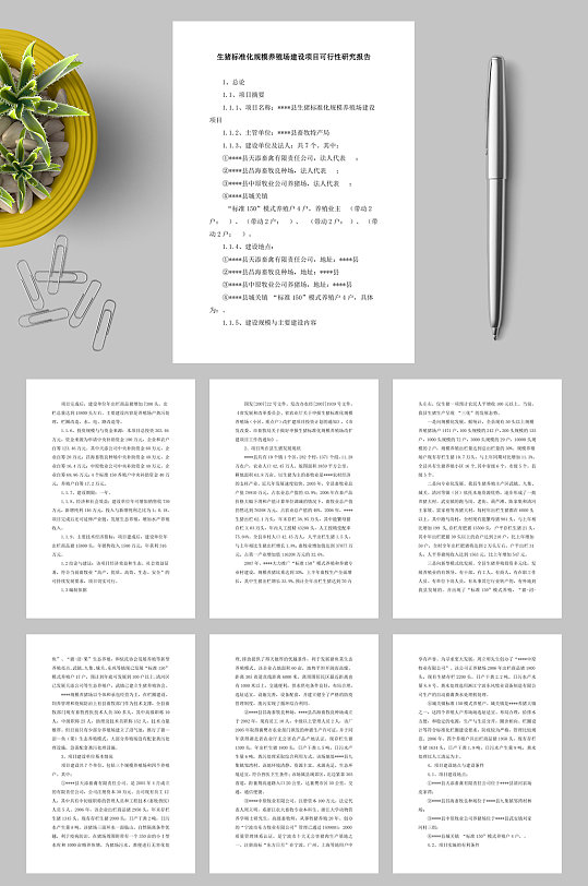 生猪标准化规模养殖场建设项目可行性研究报告WORD