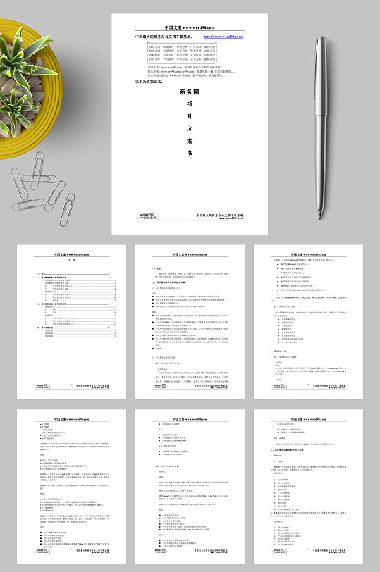 商务网项目方案书WORD