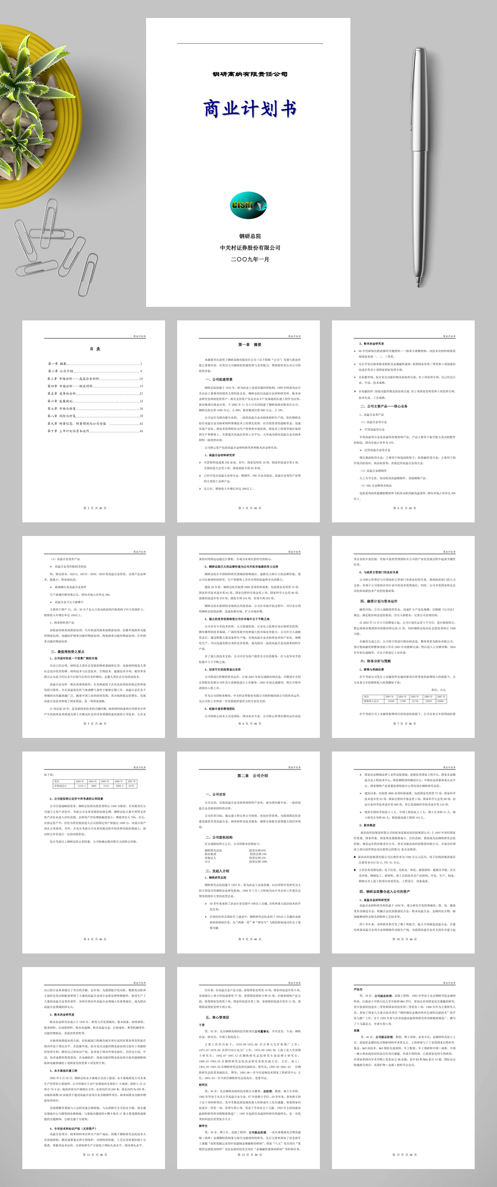 钢研高纳有限责任公司商业计划书WORD素材