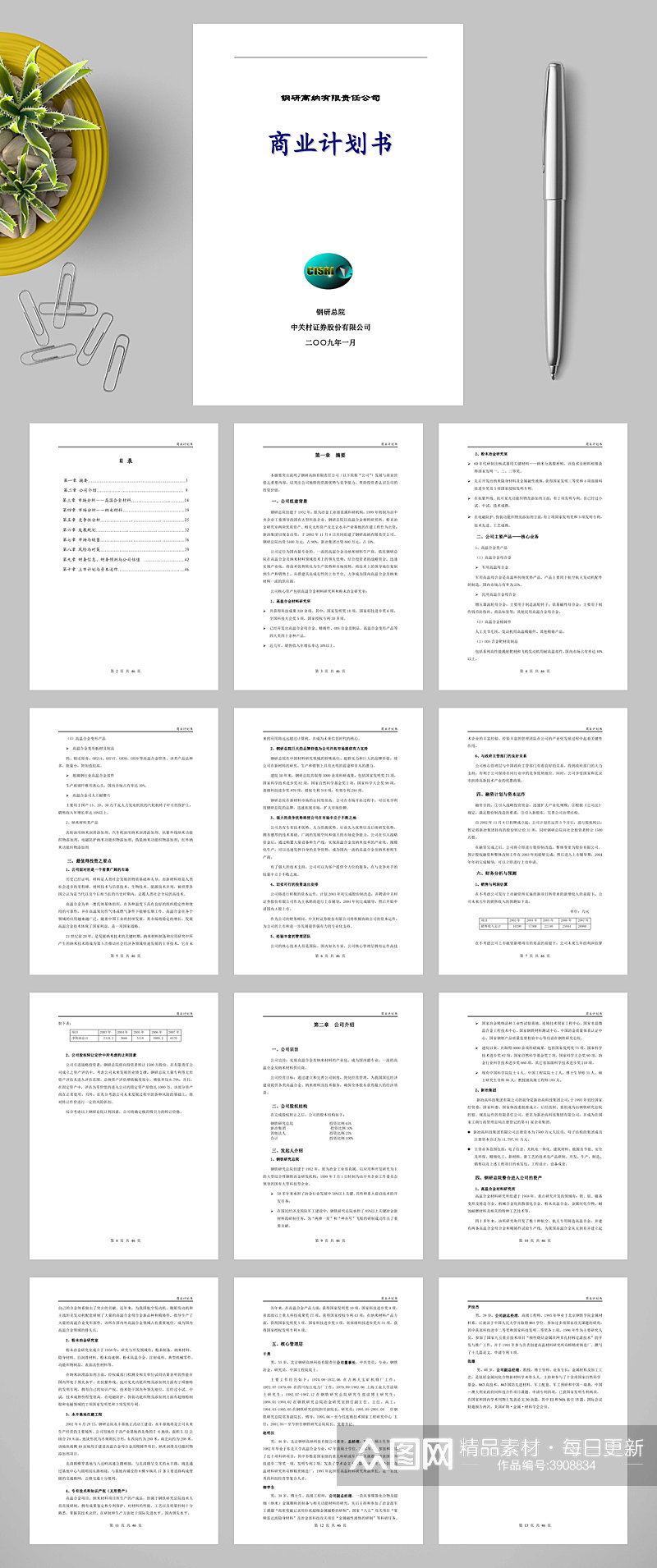 钢研高纳有限责任公司商业计划书WORD素材