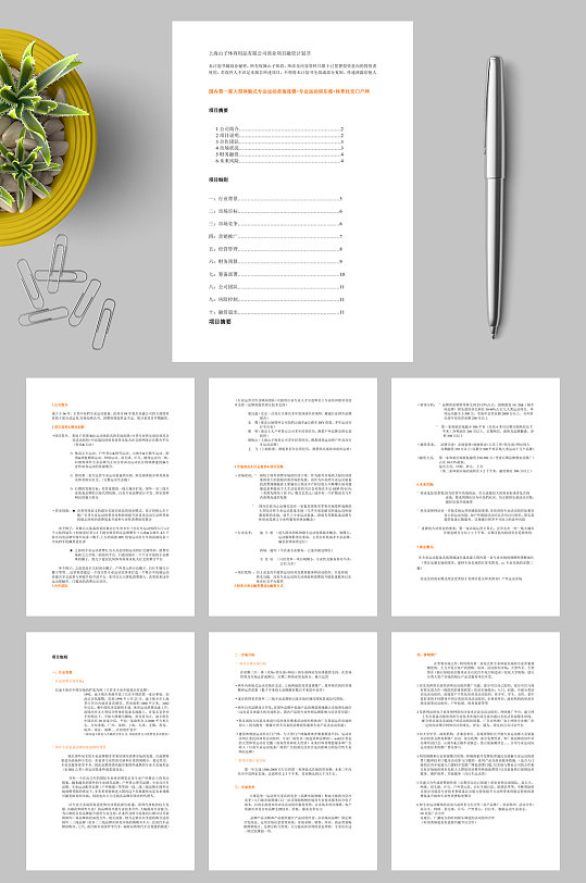 上海山子体育用品有限公司商业项目融资计划书WORD-众图网