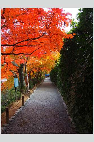 红色日式庭院图片