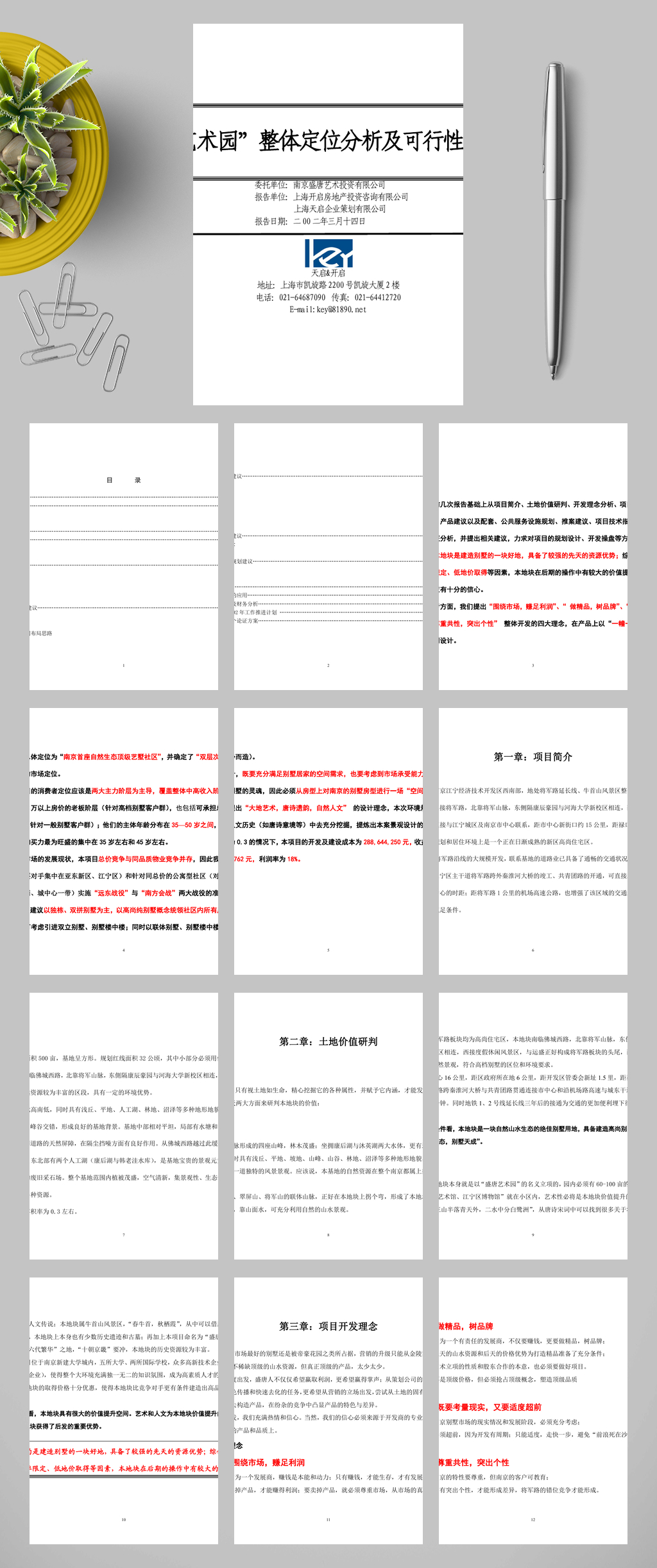 盛唐艺术园整体定位分析及可行性研究报告WORD素材