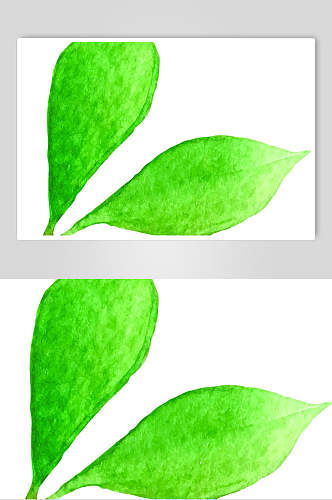 手绘绿色水彩花卉植物图案矢量素材