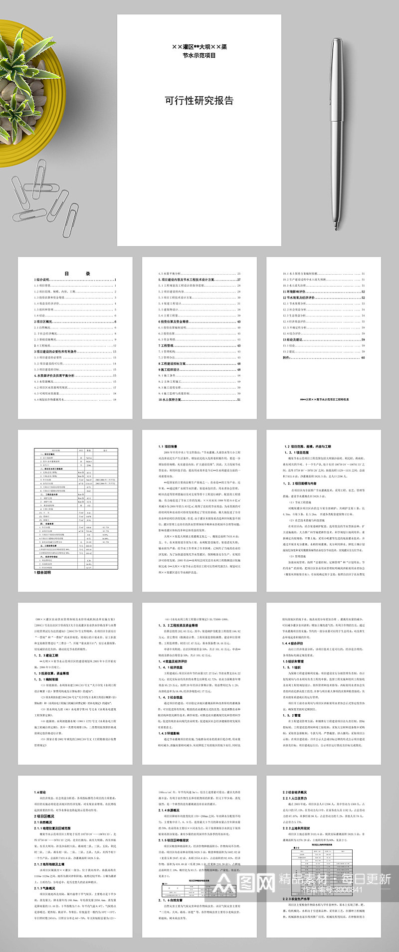 灌区节水可行性报告WORD素材