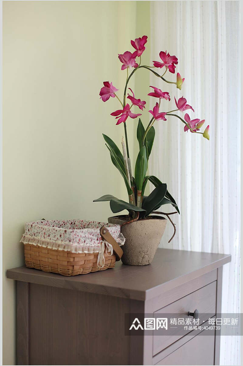木质柜粉色盆栽摆件混搭二居室图片素材