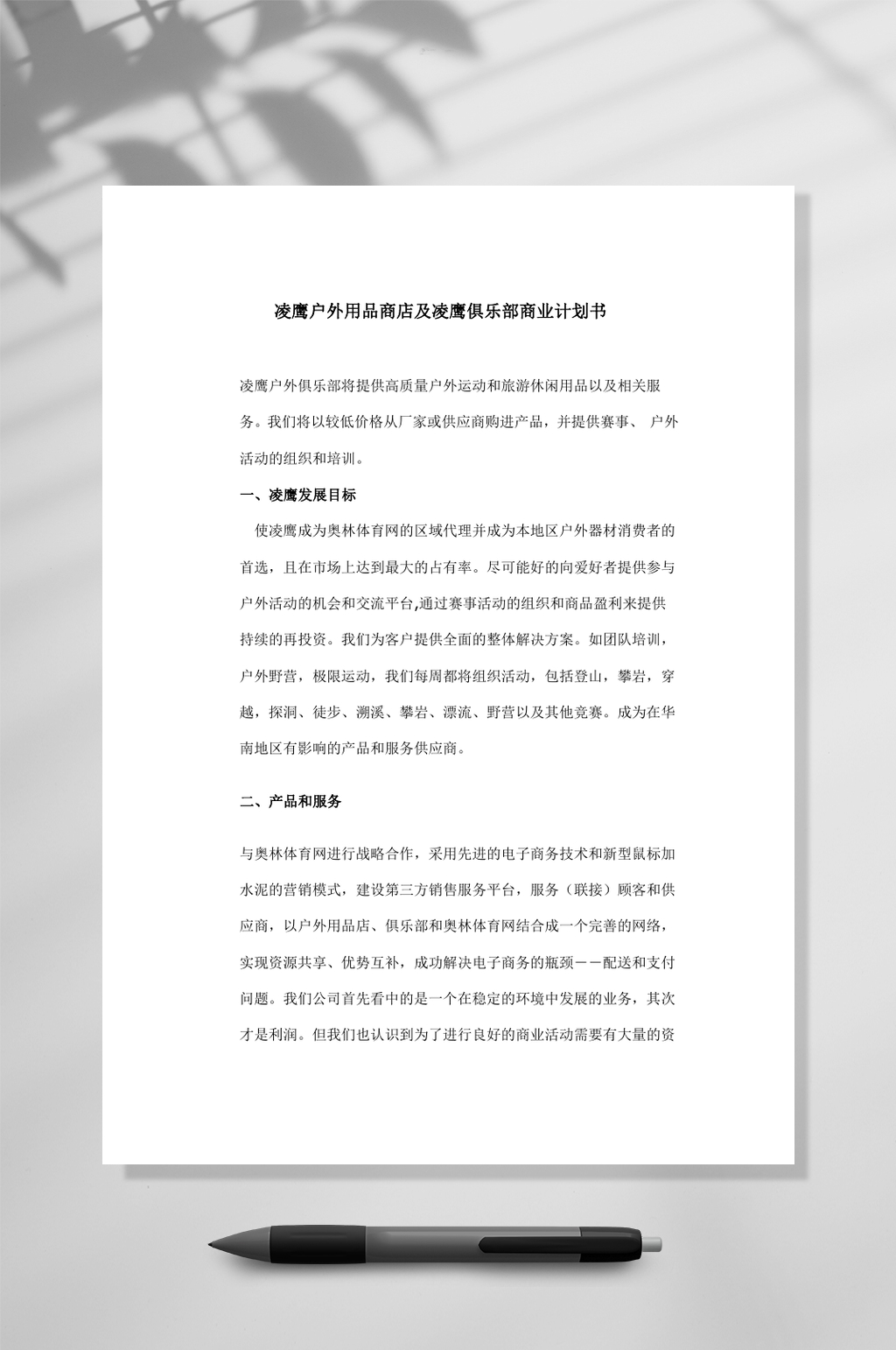 凌鹰户外用品商店及凌鹰俱乐部商业计划书WORD素材