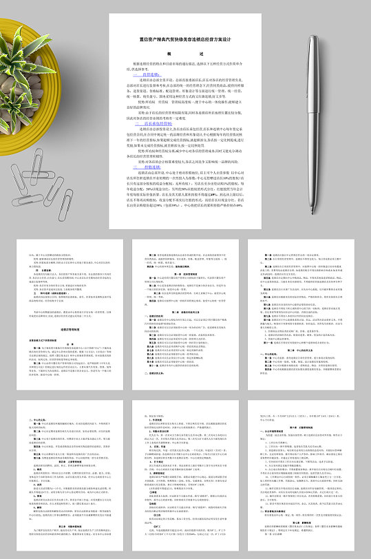 XX汽贸快修美容连锁店经营方案设计WORD