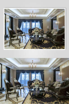 椅子植物地毯高端创意客厅设计图片