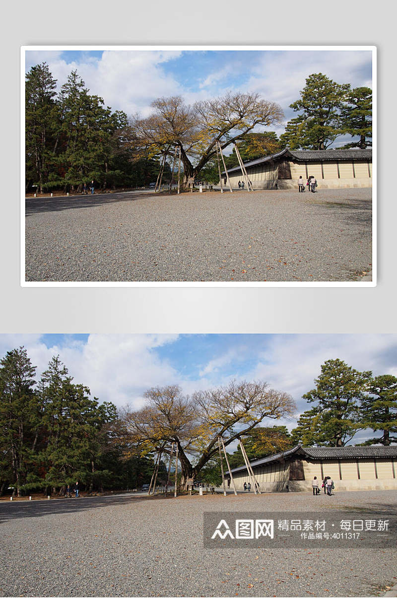 唯美大气树木日式庭院图片素材