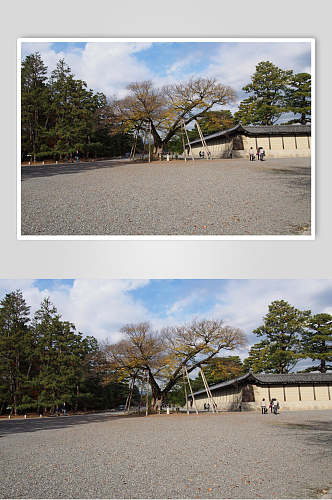 唯美大气树木日式庭院图片