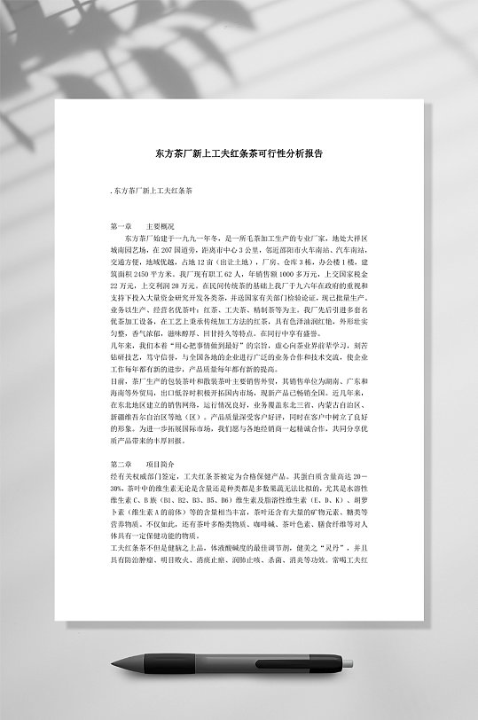 东方茶厂新上工夫红条茶可行性分析报告WORD