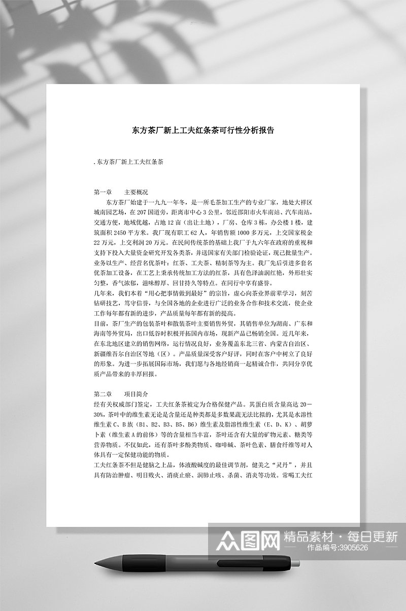 东方茶厂新上工夫红条茶可行性分析报告WORD素材