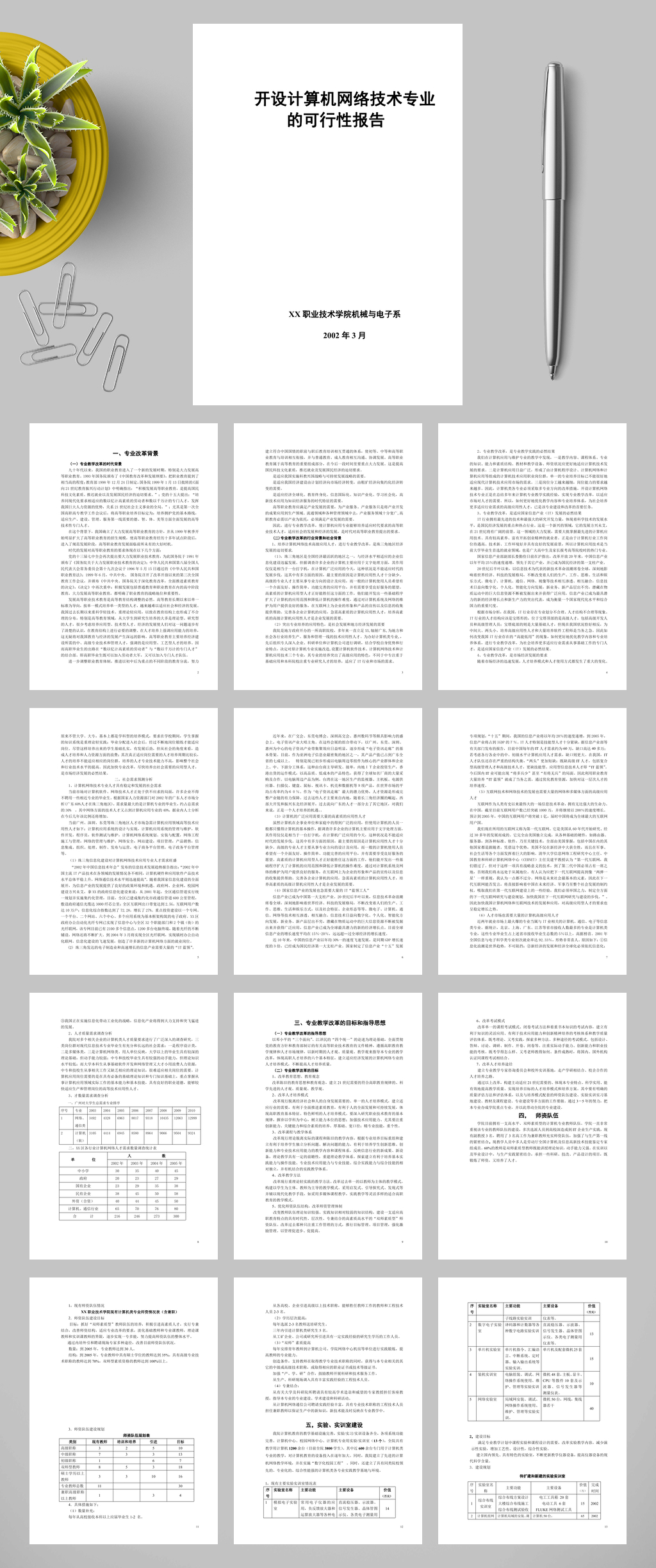 XX大学项目可行性研究报告WORD素材