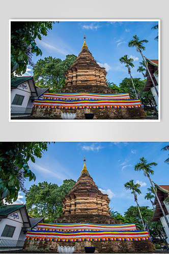 高端个性幕布高塔树林泰国旅游图片