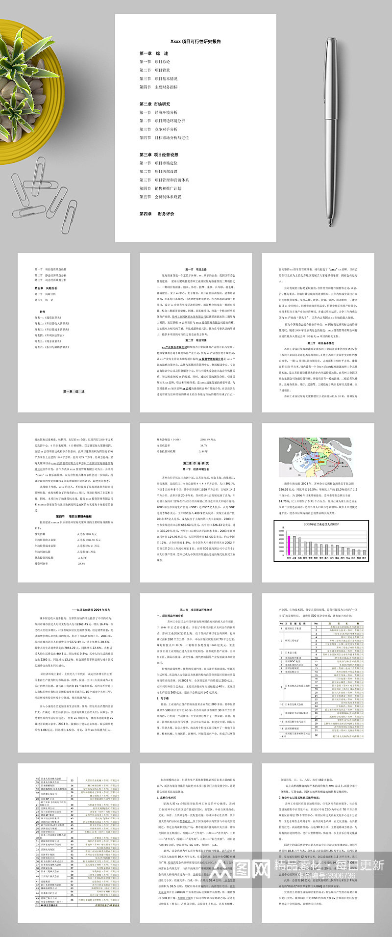 Xxxx项目可行性研究报告WORD素材