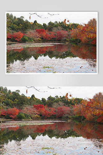 红色湖面日式庭院图片