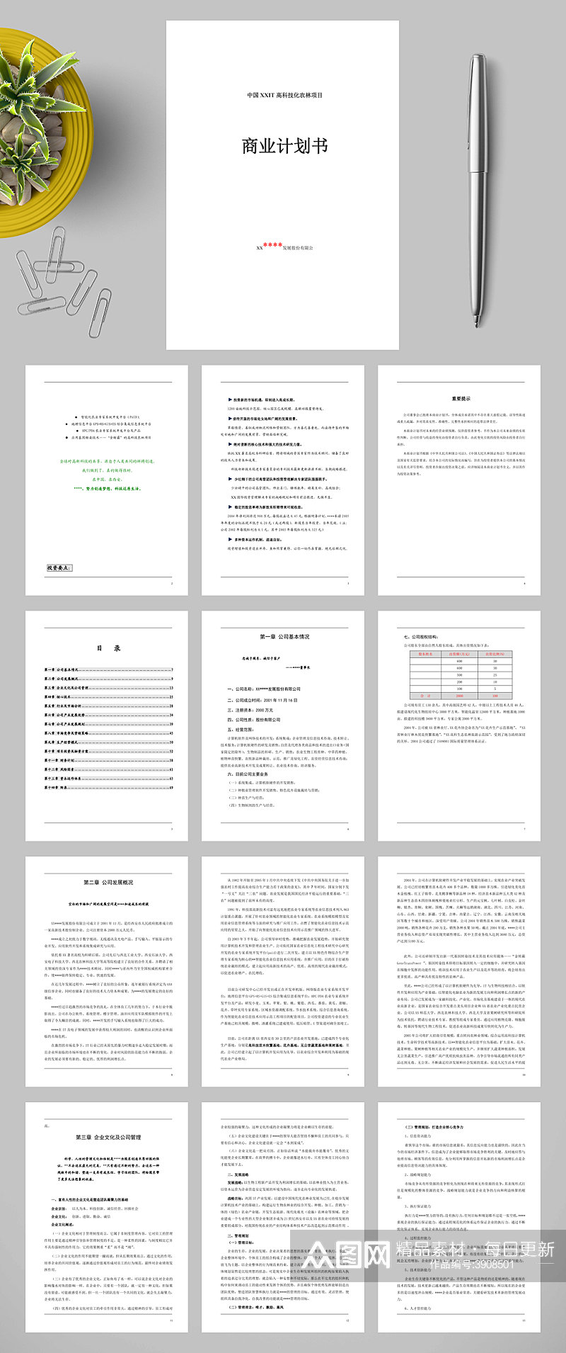 XX高科技化农林项目商业计划书WORD素材