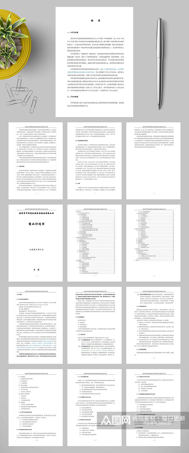 深圳市中科智担保投资股份有限公司商业计划书WORD素材