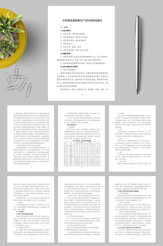 茶色素胶囊生产可行性研究报告WORD