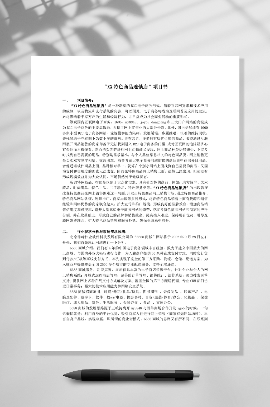 XX商品连锁店项目书WORD素材