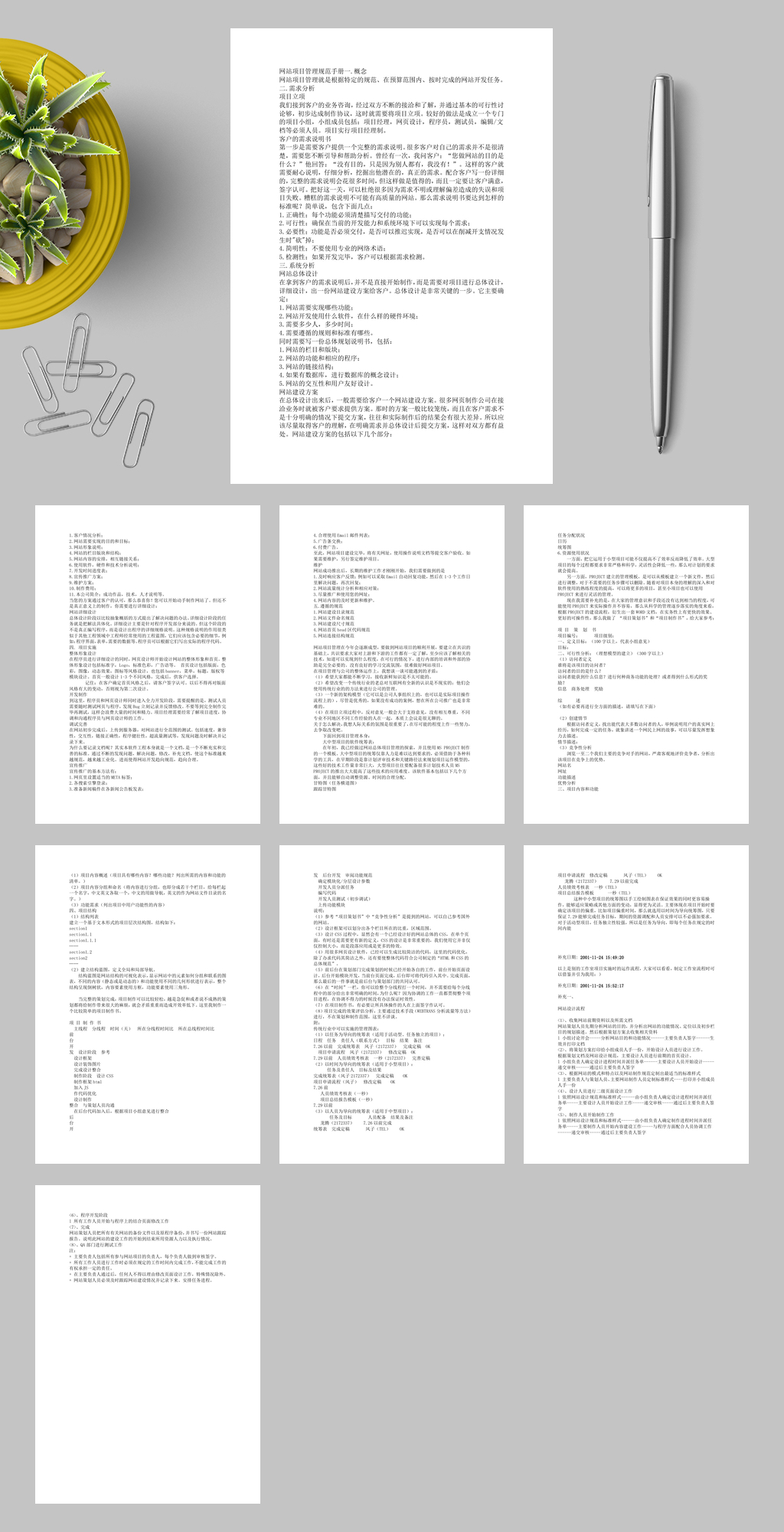 网站项目管理手册WORD素材