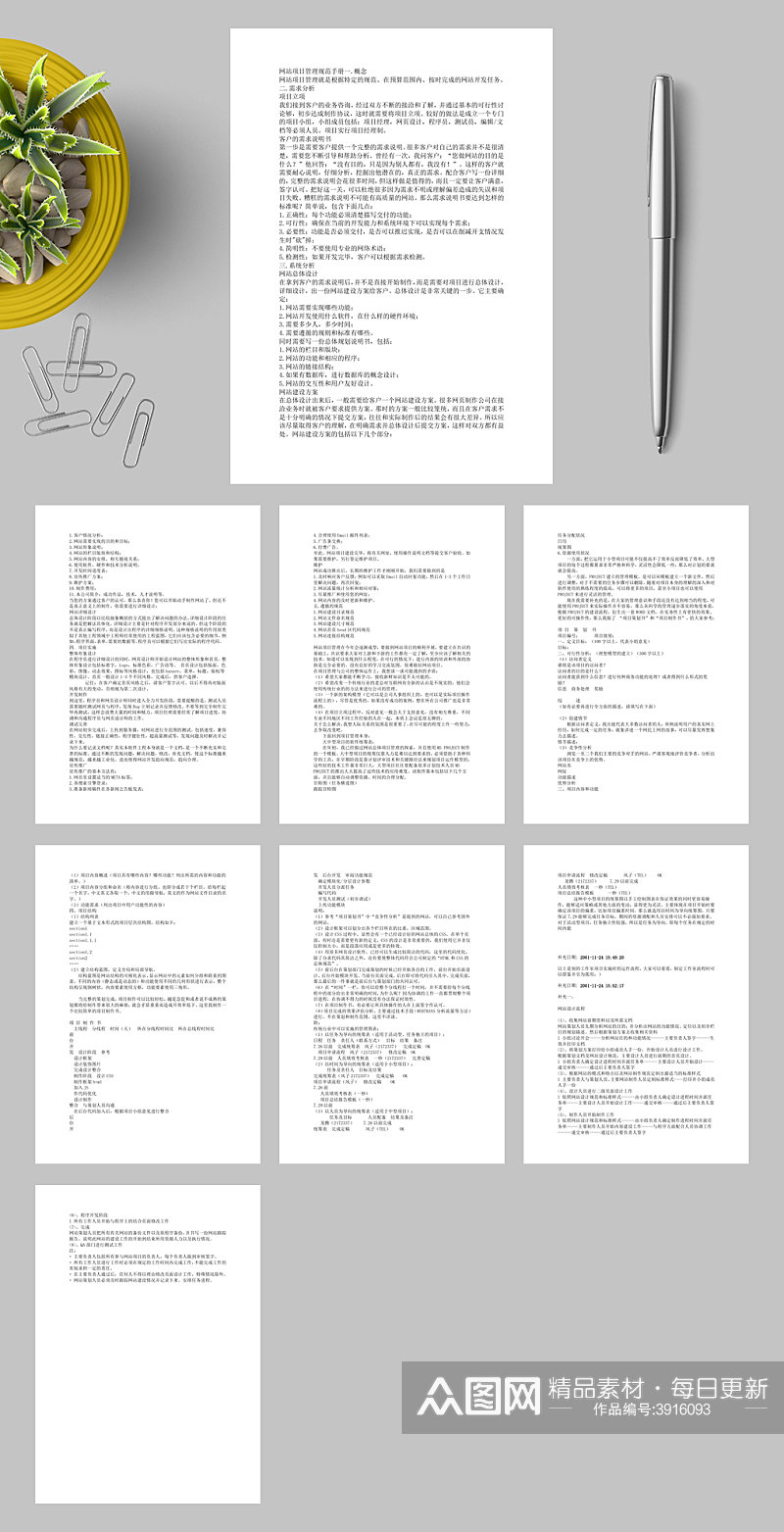 网站项目管理手册WORD素材