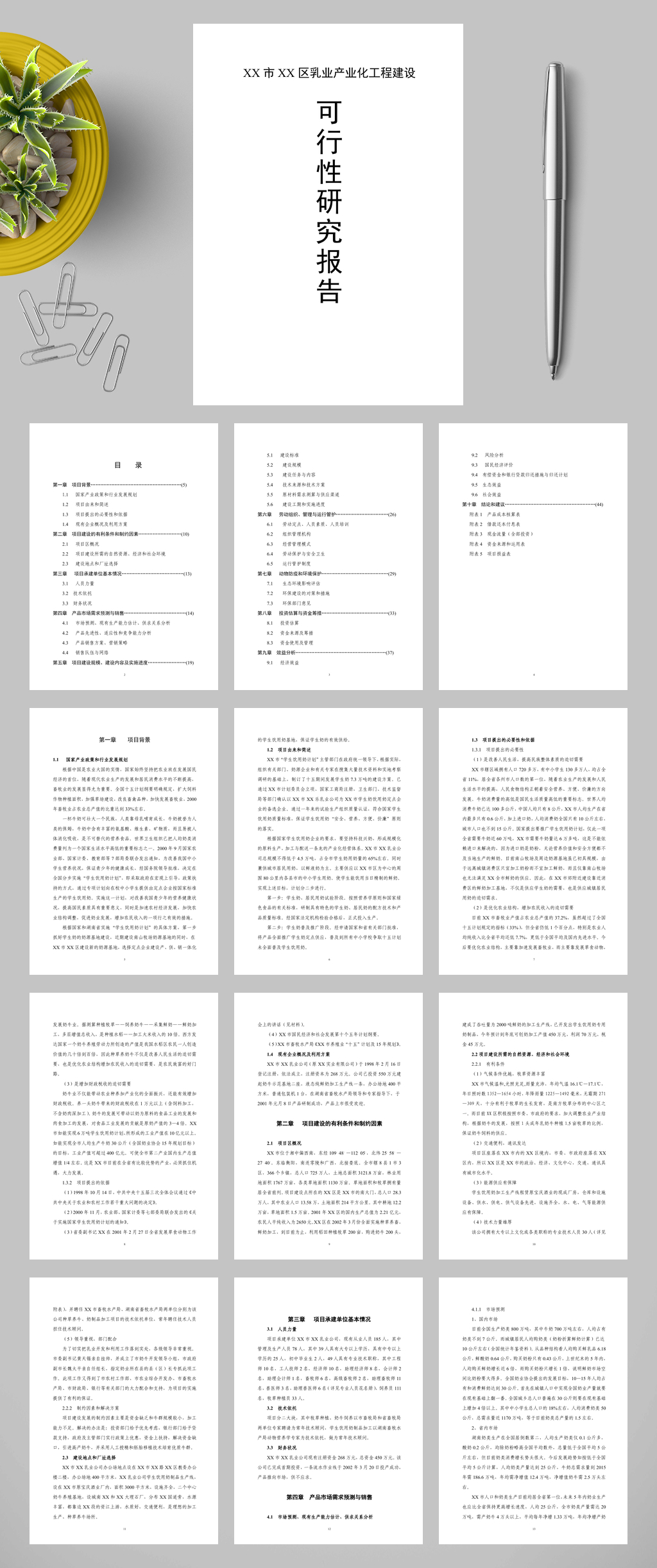 XX乳业产业化工程建设项目可行性研究报告WORD素材