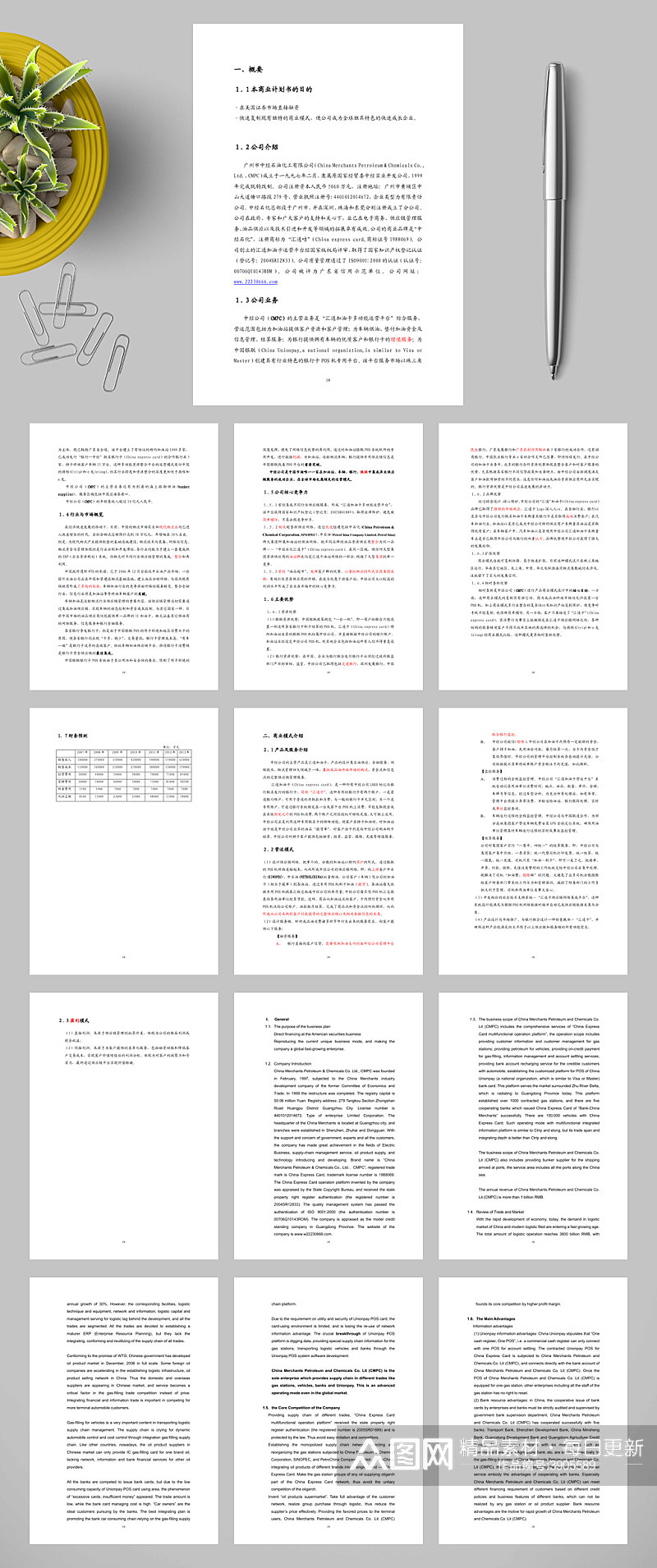 广州市中经石油化工有限公司商业计划书WORD素材