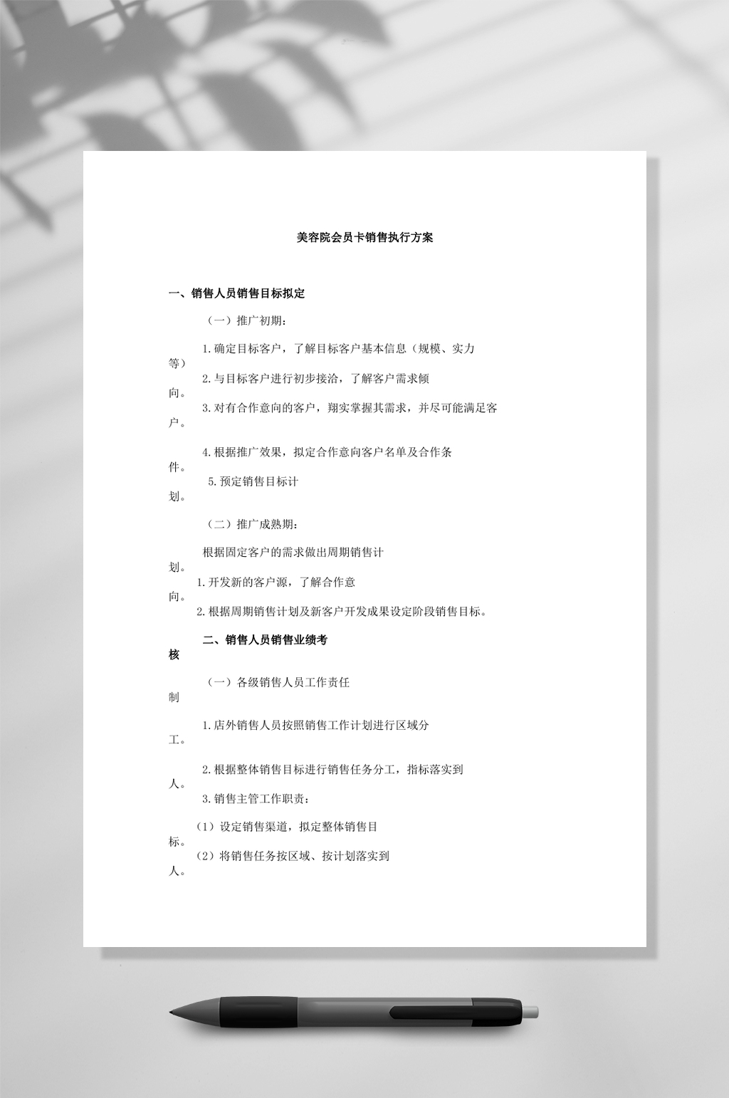 美容院会员卡销售执行方案WORD素材