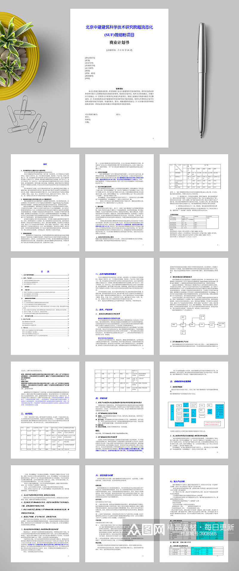 SUF微细粉项目商业计划书WORD素材