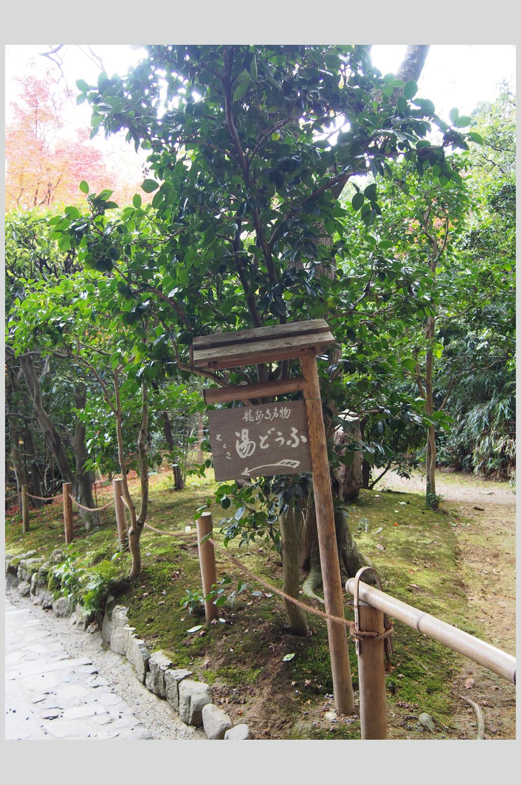 高端个性木牌石头草地日式庭院图片素材