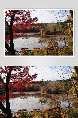 湖边日式庭院图片