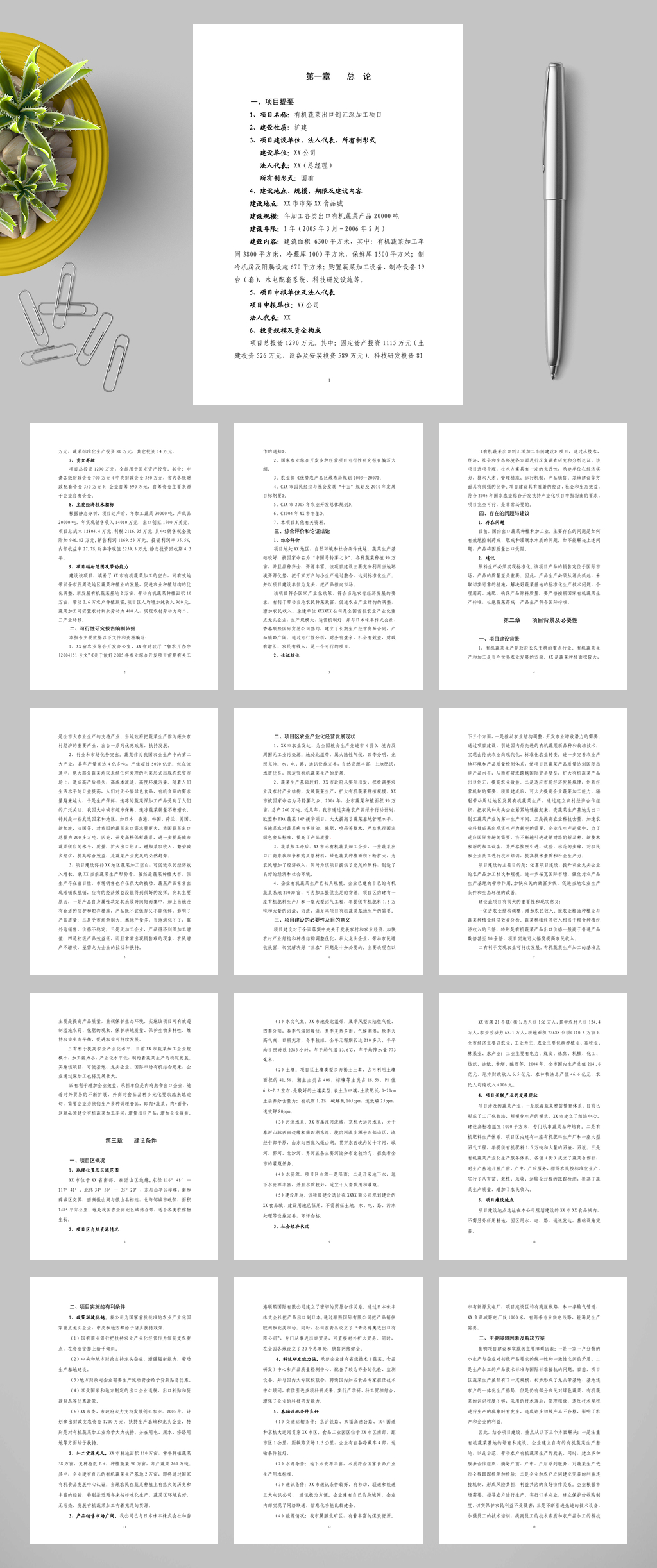 有机蔬菜出口创汇深加工项目WORD素材