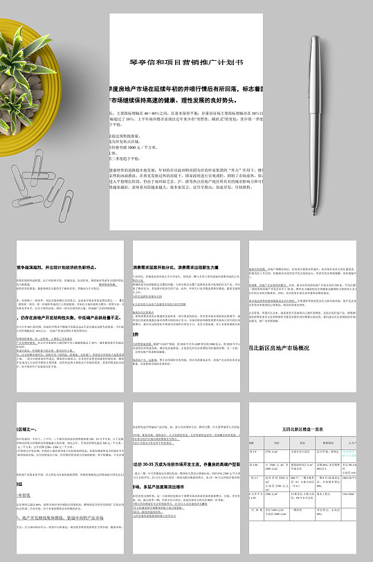 琴亭信和项目计划书