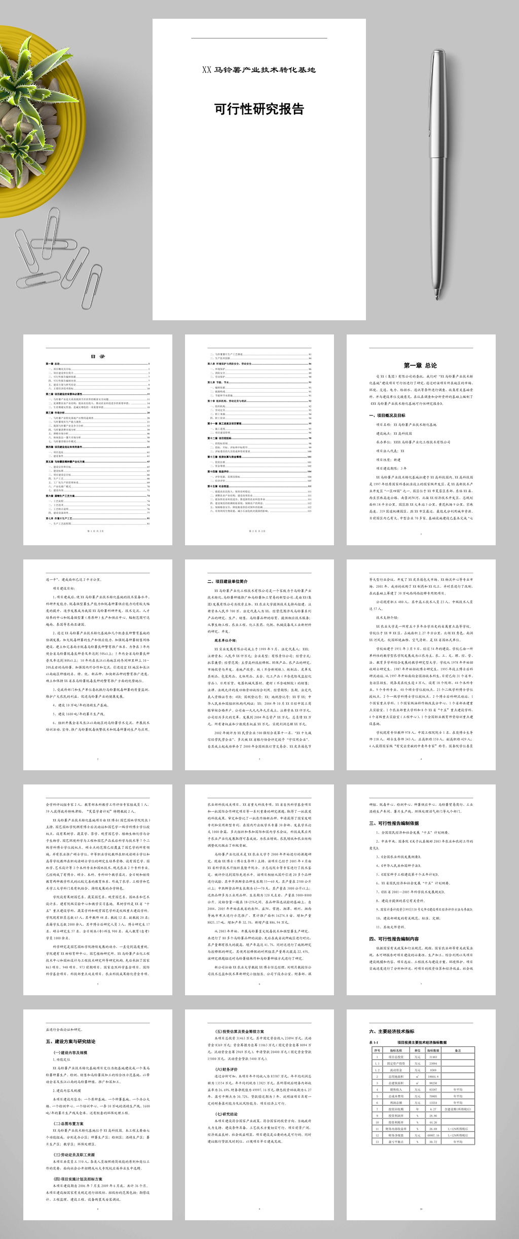 精美马铃薯产业化可研报告WORD素材