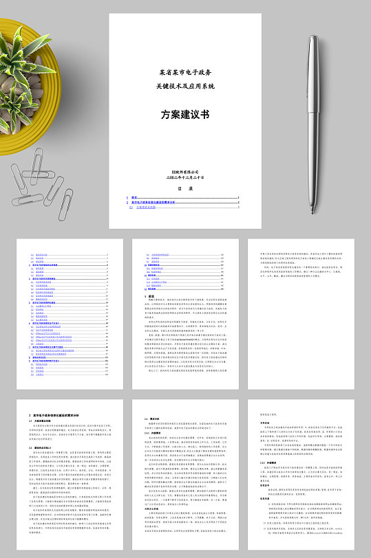 电子政务关键技术及应用系统方案建议书WORD