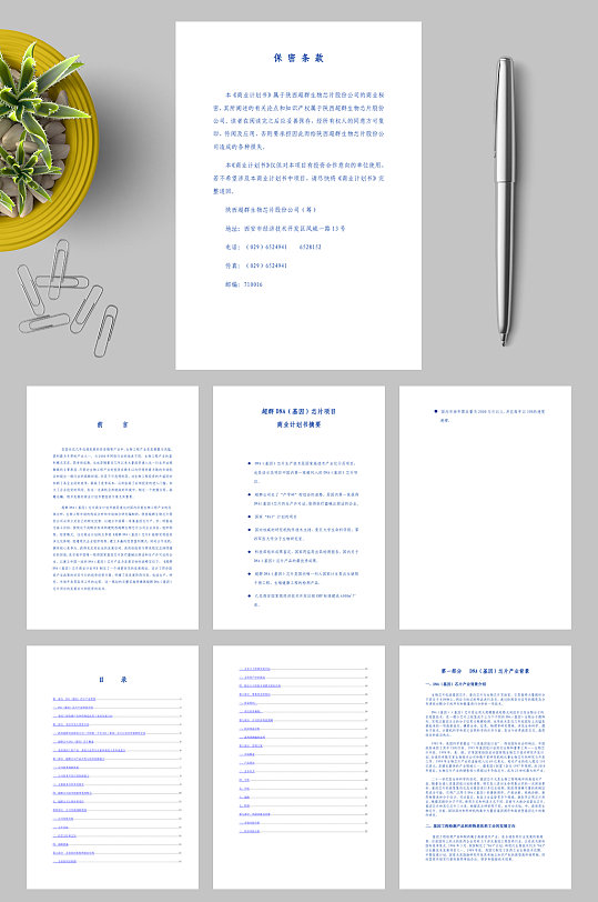 超群DNA基因芯片項(xiàng)目商業(yè)計(jì)劃書WORD