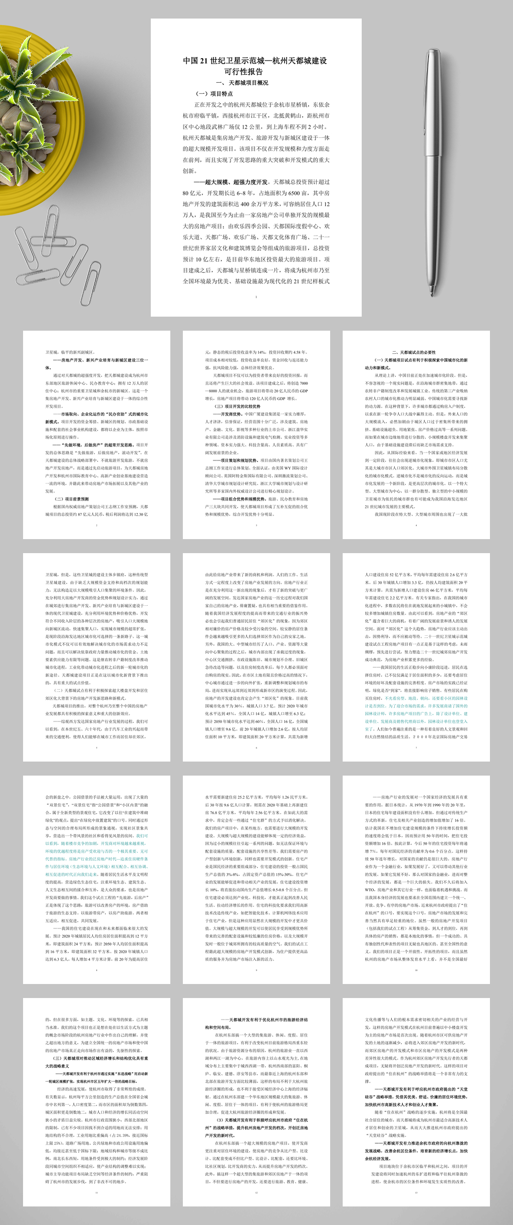 杭州天都城项目可行性报告WORD素材