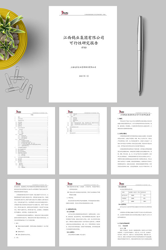 远卓江西钨业集团可行性研究报告WORD