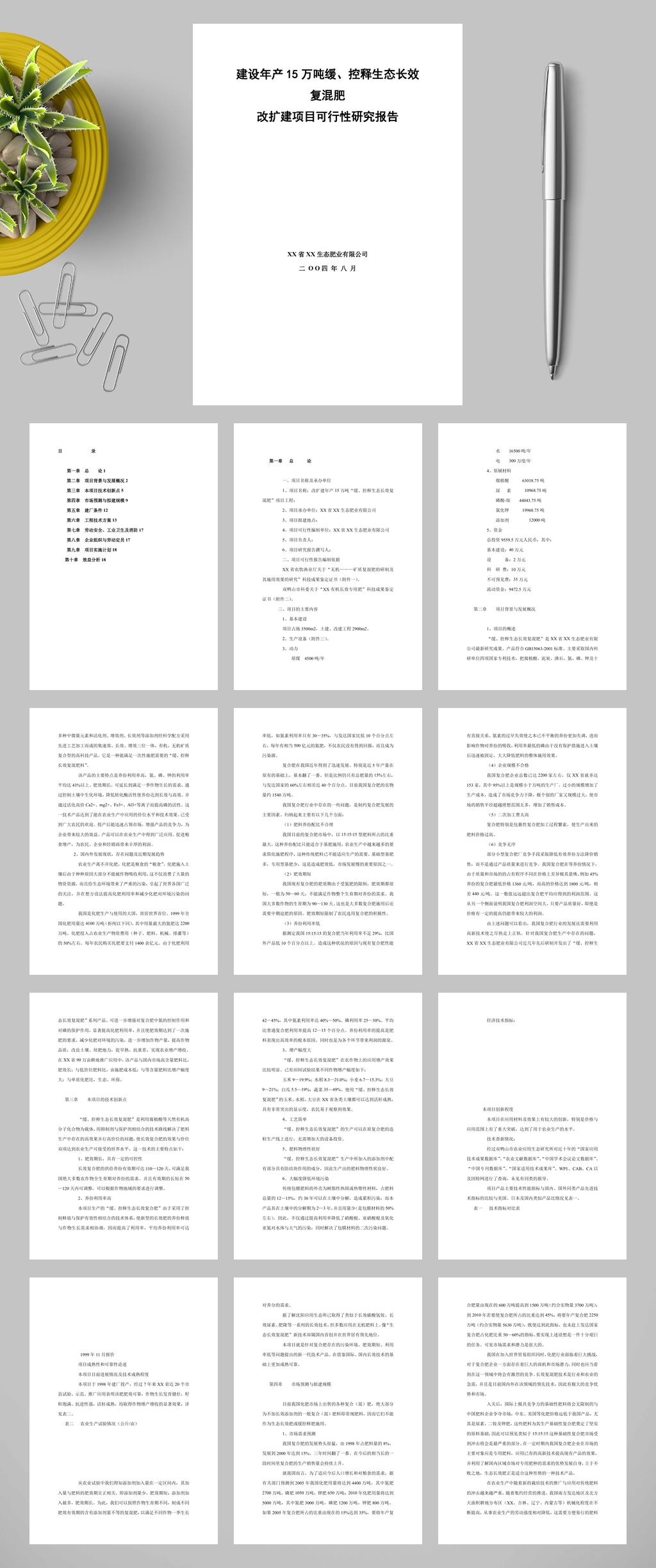 建设年产十五万吨缓控释生态长效复混肥改扩建项目可行性研究报告WORD素材