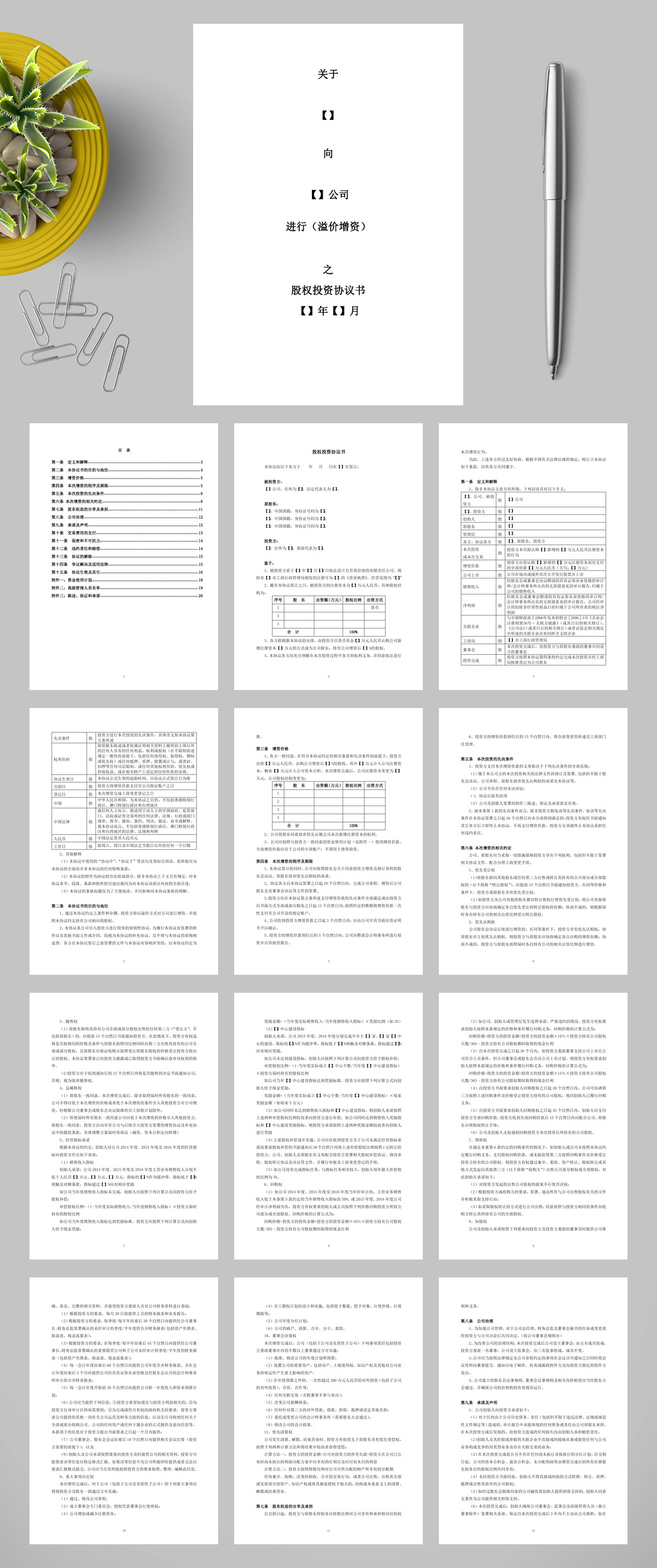 关于X向X公司进行溢价增资之股权投资协议书WORD素材