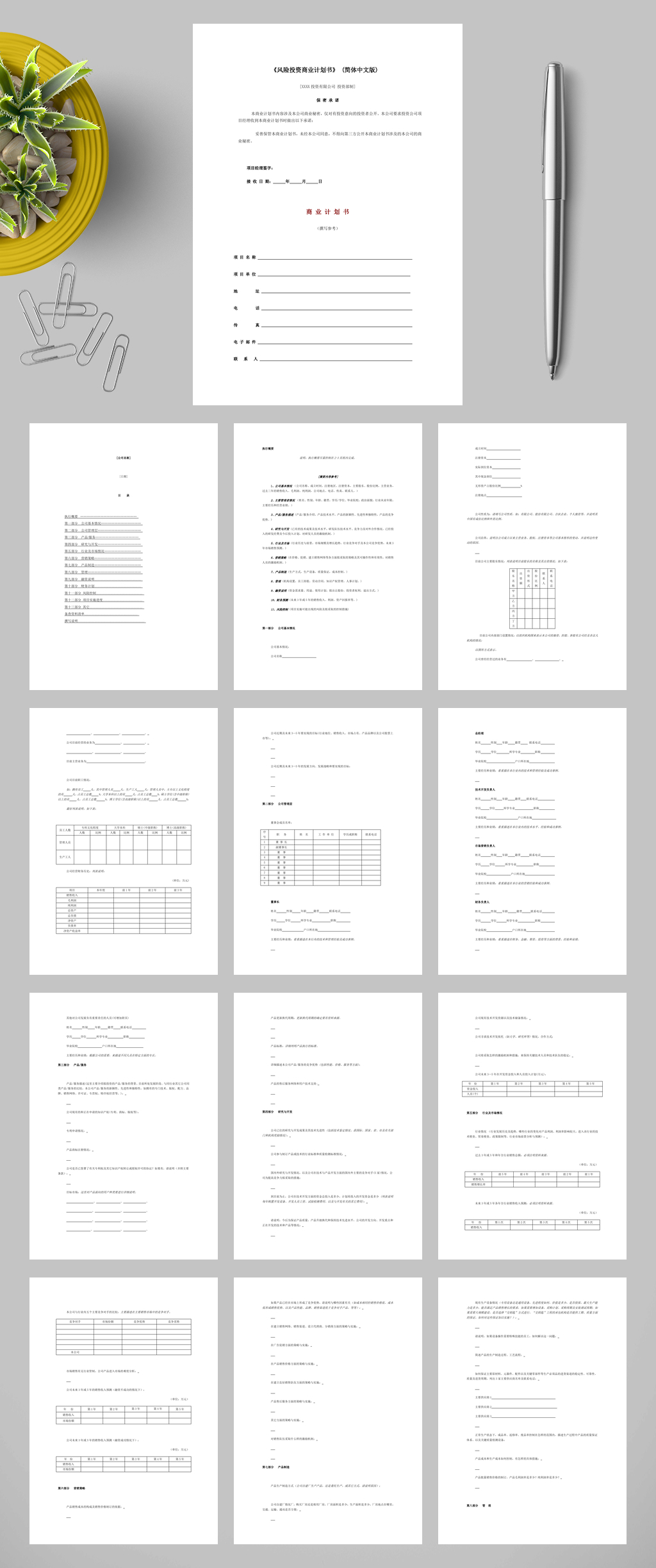 XX年风险投资商业计划书WORD素材