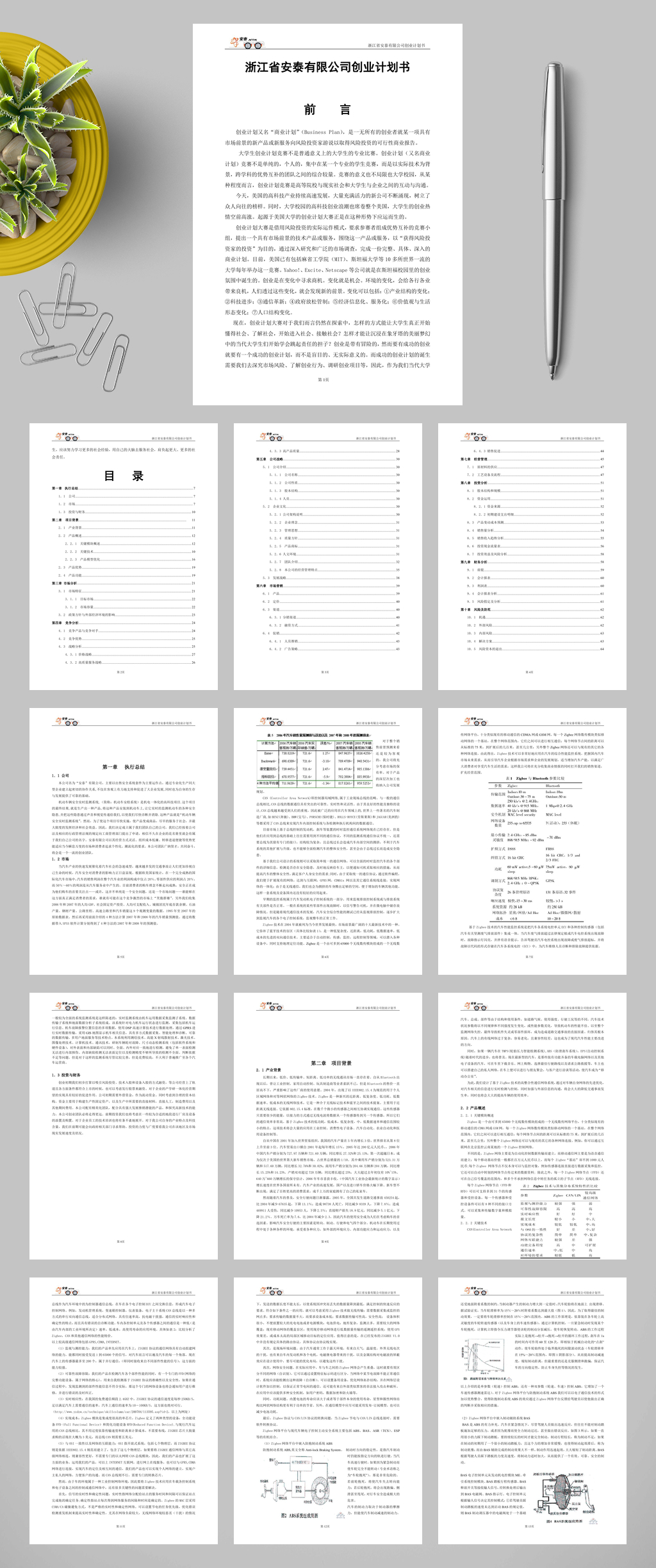 浙江省安泰有限公司创业计划书WORD素材