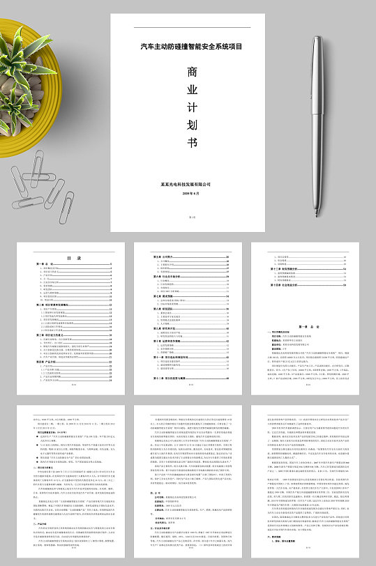 汽车主动防碰撞智能安全系统项目WORD