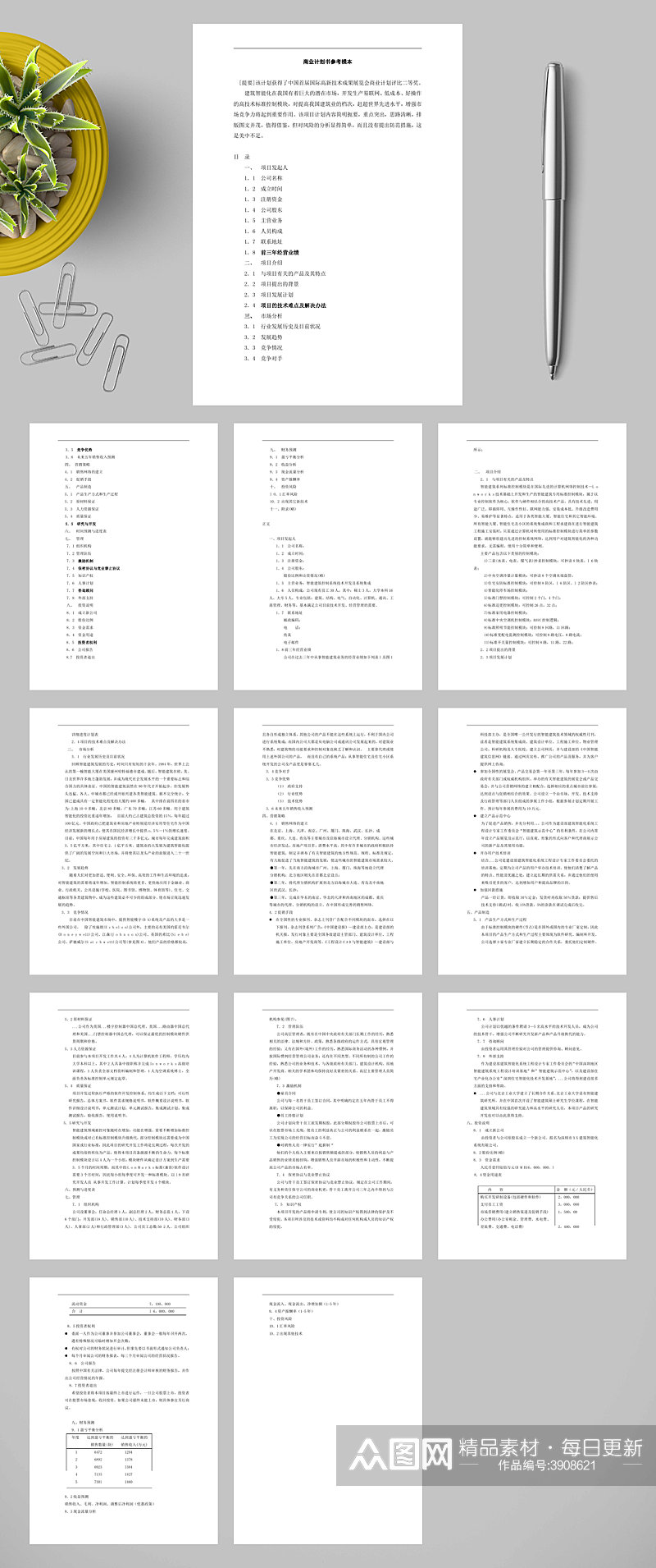 商业计划书参考模本docWORD素材