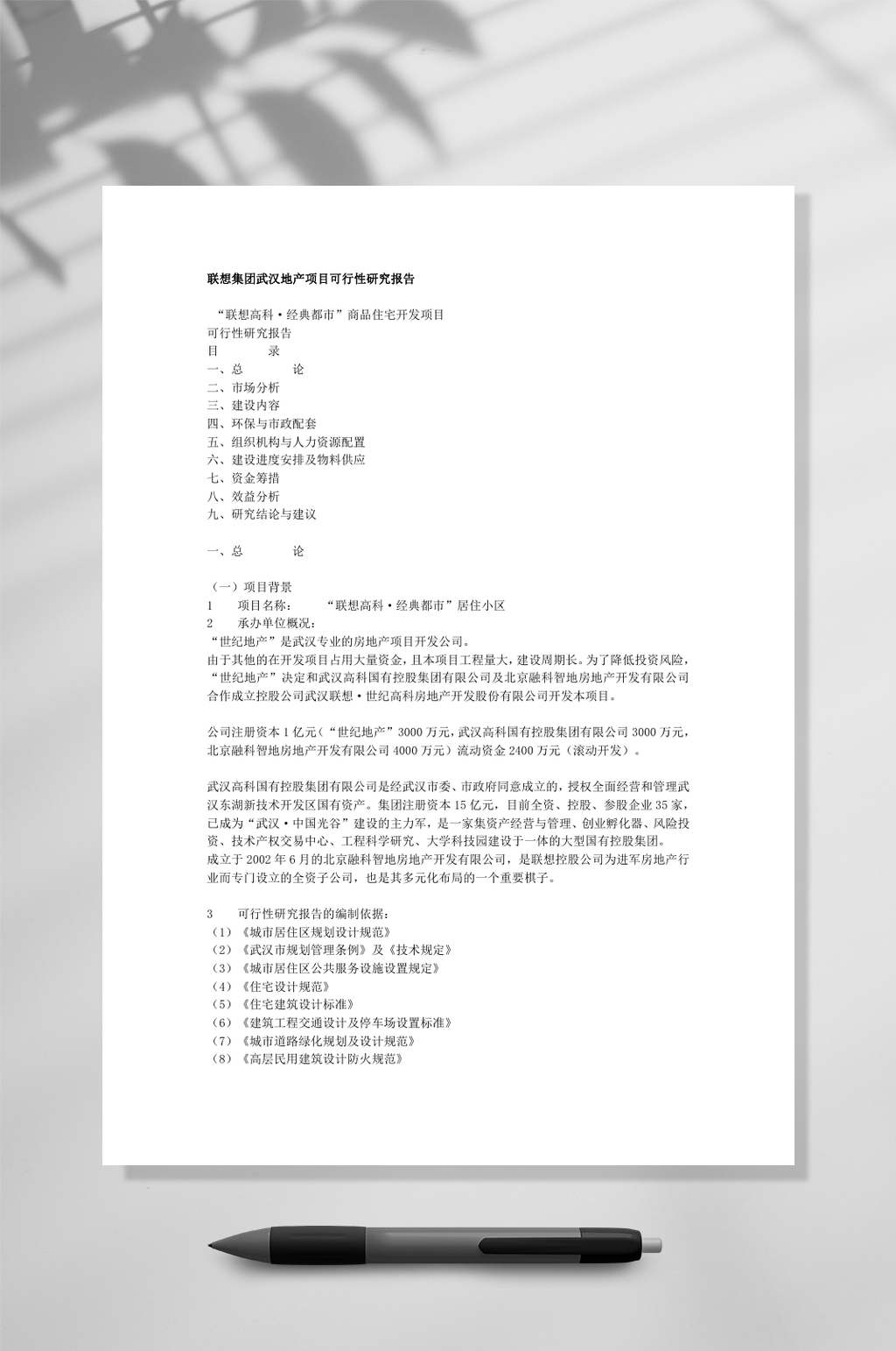 某集团武汉地产项目可行性WORD素材