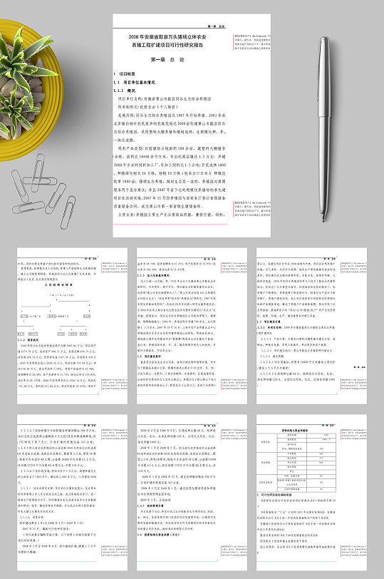 万头猪场立体农业养猪工程扩建项目可行性研究报告WORD